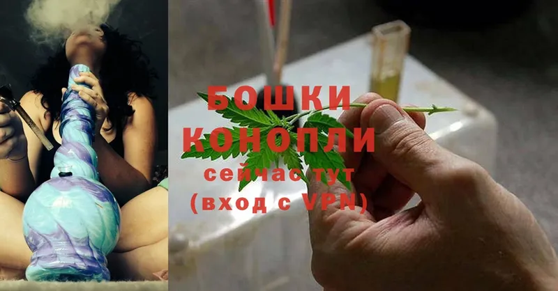 Шишки марихуана White Widow  блэк спрут как зайти  Лихославль 